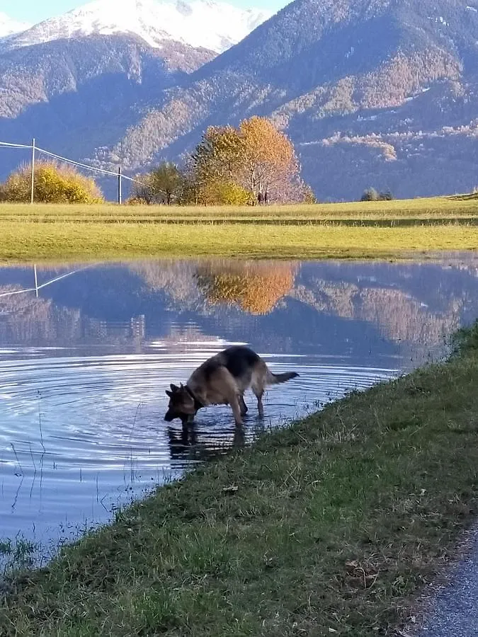 Casa Vacanza Da Ghislin Teglio