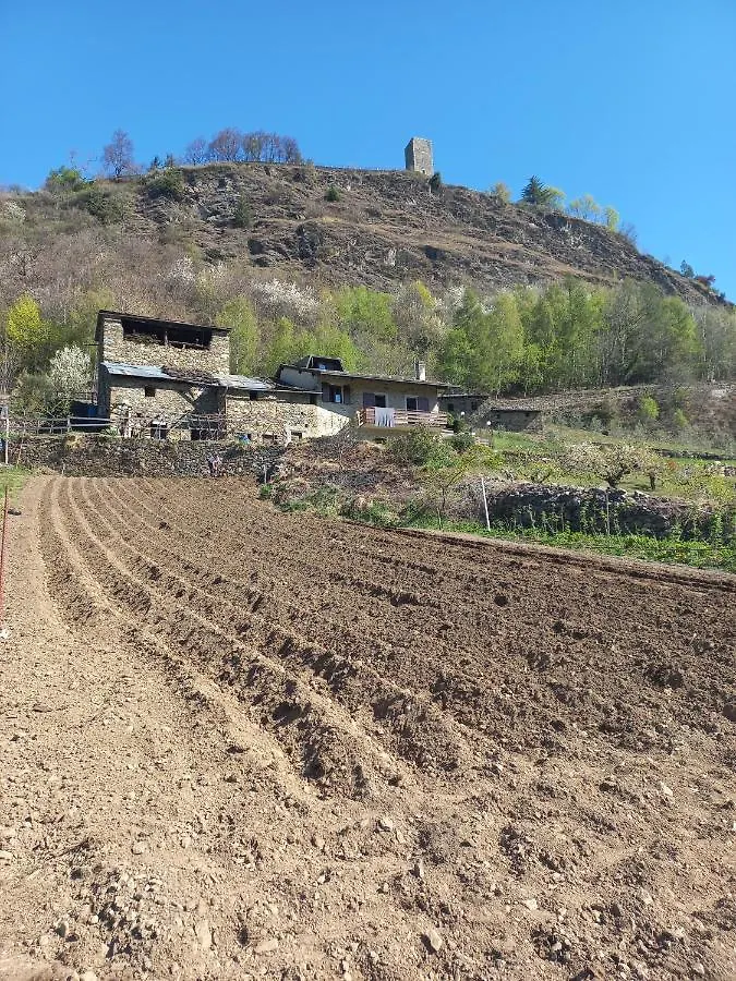 Casa Vacanza Da Ghislin Teglio Apartman