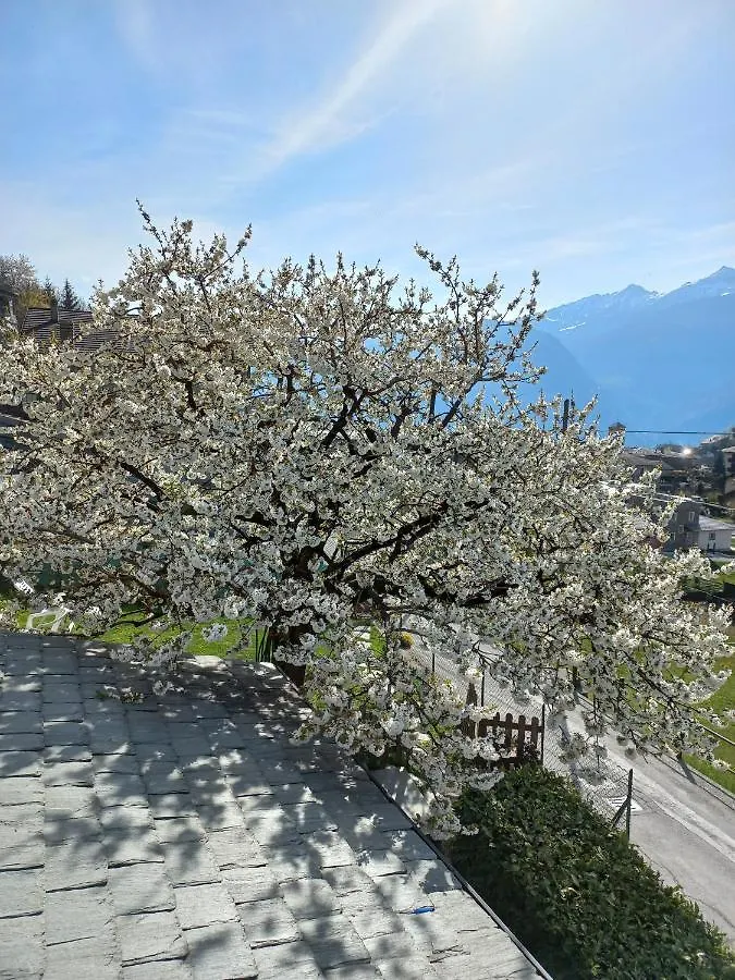 Casa Vacanza Da Ghislin Teglio